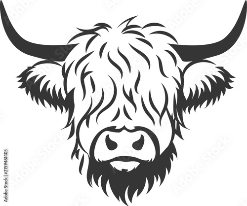 Highland Cow Head, vector design