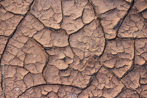 Foto Deep cracks spread across parched and barren earth texture revealing a harsh lan
