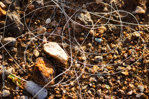 Foto Discarded translucent fishing line tangled over textured river pebbles and soil,