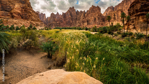 Fotografie Wadi Al Disah, Northwest Saudi Arabia