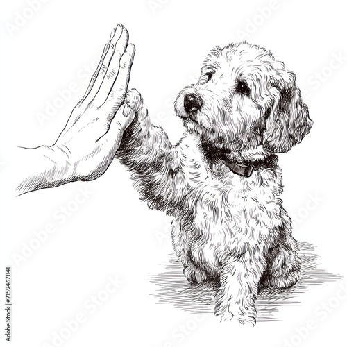 Dog paw high five with hand