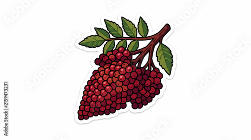 Vibrant vector illustration of a branch with red berries and green leaves, symbolizing natural flora, organic growth, and healthy food, ideal for botanical designs