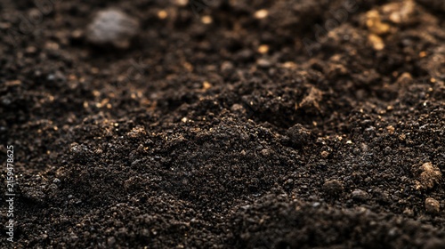 Rich Dark Soil Texture for Gardening and Agriculture