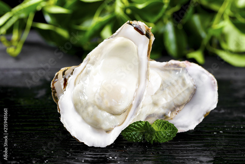 Фотография Fresh Raw Oysters with Herbs on Dark Wood - Premium Seafood Studio Photography
