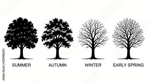 Four seasons tree life cycle illustration black silhouettes.
