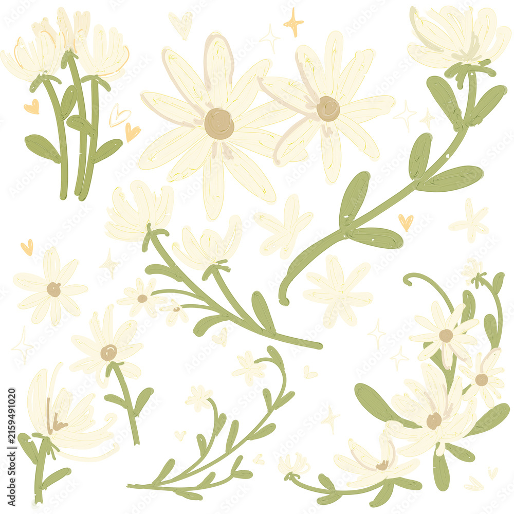 Fototapeta premium floral hand-drawn clipart