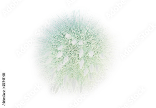 Set of Trees and Bushes in Elevation View for Architectural Drawings, Landscape Design Collection	