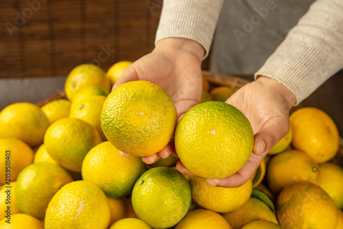 Fresh Pomelo Citrus Fruits from Fujian Province Held in Hands - Orange Green Natural Produce Display