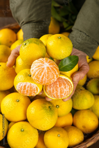 Canvas Print Fresh Orange Citrus Segments in Hands - Jianyang Fujian Alpine Sweetheart Orange