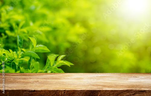 wood table with nature green blur background, for your photo montage or product display, Space for placing items on the table.