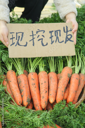 Fresh Organic Carrots with Chinese Sign at Farm Market - Yunnan Province Local Produce Display