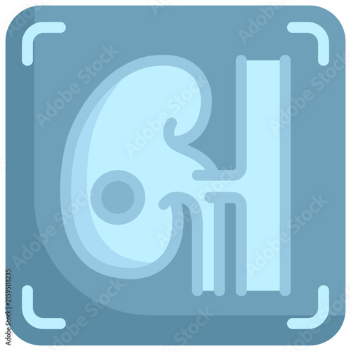 Kidney X-ray flat icon. For presentation, graphic design, mobile application, web design, infographics or UI.