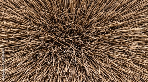 Dry Straw Hay Texture Background With Center Radial Pattern Of Organic Stalks