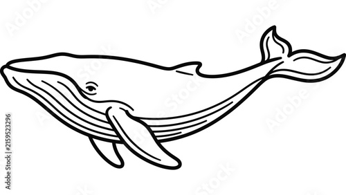 Simple line art drawing of a swimming humpback whale.