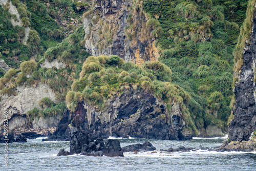 Obraz na plátně Rocky islets with tussock grass along the shore of Gough Island in the South Atl
