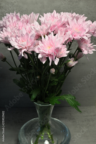 ein Strauß aus rosa verzweigten Spray-Chrysanthemen in einer bauchigen Glasvase