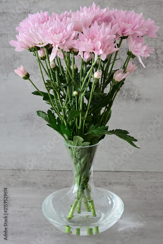 ein Strauß aus rosa verzweigten Spray-Chrysanthemen in einer bauchigen Glasvase