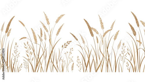 Seamless horizontal border of dried wild grass and wheat stalks on white background