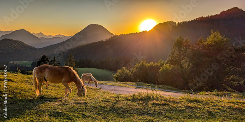 Idyllic mountain landscape in the Bavarian Alps with horses grazing on an alpine meadow during a picturesque sunrise bathed in golden light