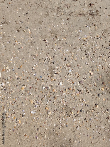 Konstfotografi Detailed close-up view of countless multi-colored small seashells mixed with coarse beach sand, featuring natural textures and diverse forms