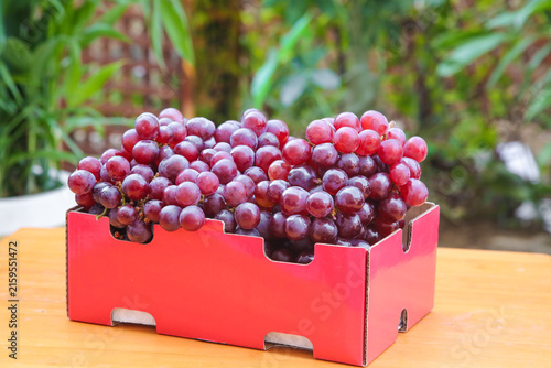 Canvastavla Fresh Purple Grapes from Xinjiang Turpan Province in Red Display Boxes - Premium