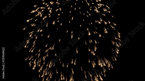 Fireworks burst in a glowing sphere of golden light spark trajectories against a pitch black night sky background.