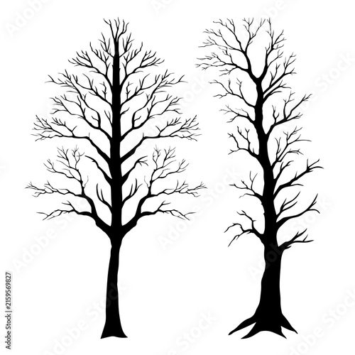 Solid black tree. Trees silhouettes design element, vector illustration.