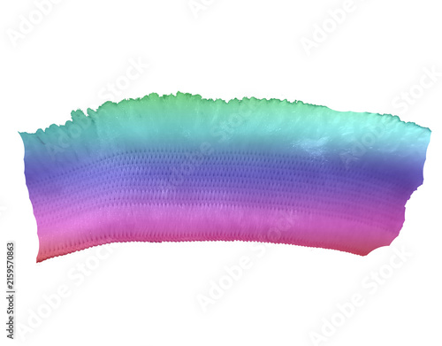 Multicolor Rainbow Textile Stroke Banner