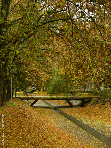 A footbridge spanning the canal, bathed in autumnal colours and strewn with fallen ochre-coloured leaves.
