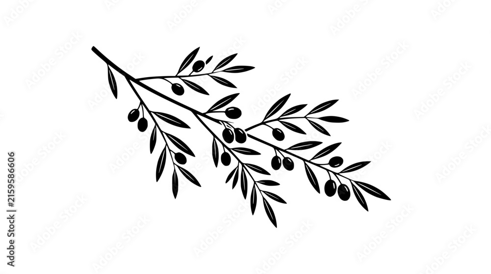 Obraz premium Black and white olive branch with olives, simple botanical illustration, isolated on white background