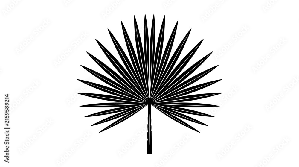 Fototapeta premium Black palm leaf silhouette isolated on white background