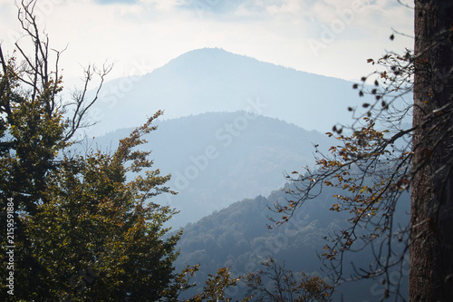 Fotografie Fog over mountains in the Palatinate Forest