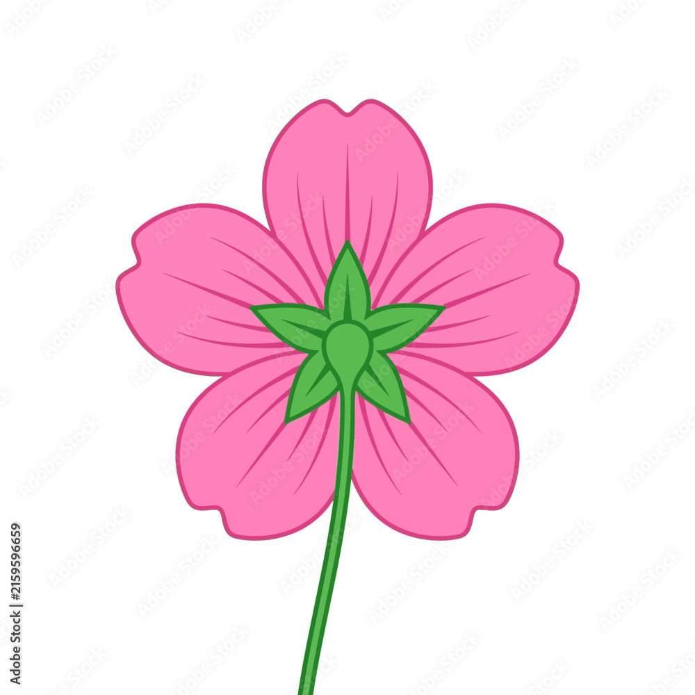 Fototapeta premium Pink Five-Petal Flower Vector Illustration Back View Isolated on White Background
