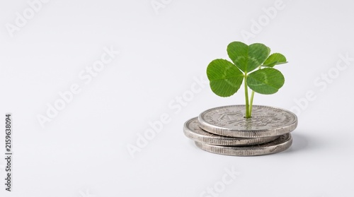 Unique Growth Concept with Coins and Green Plant for Investment and Prosperity