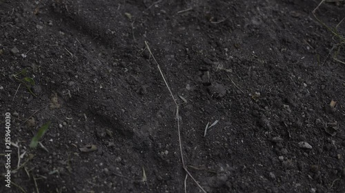 Tractor Tire Tracks On Agricultural Soil In Farm