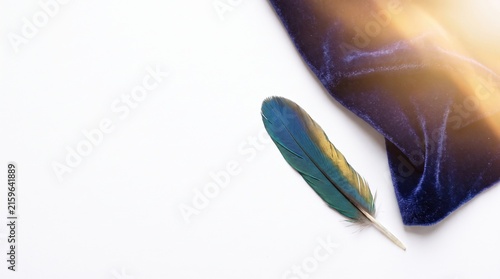 Elegant Blue Feather on Soft Velvet Fabric with Gentle Light Reflection