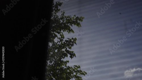 View Of Sky Through Window Blinds