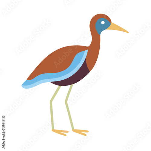 Foto Flat illustration of an elegant and colorful bird standing