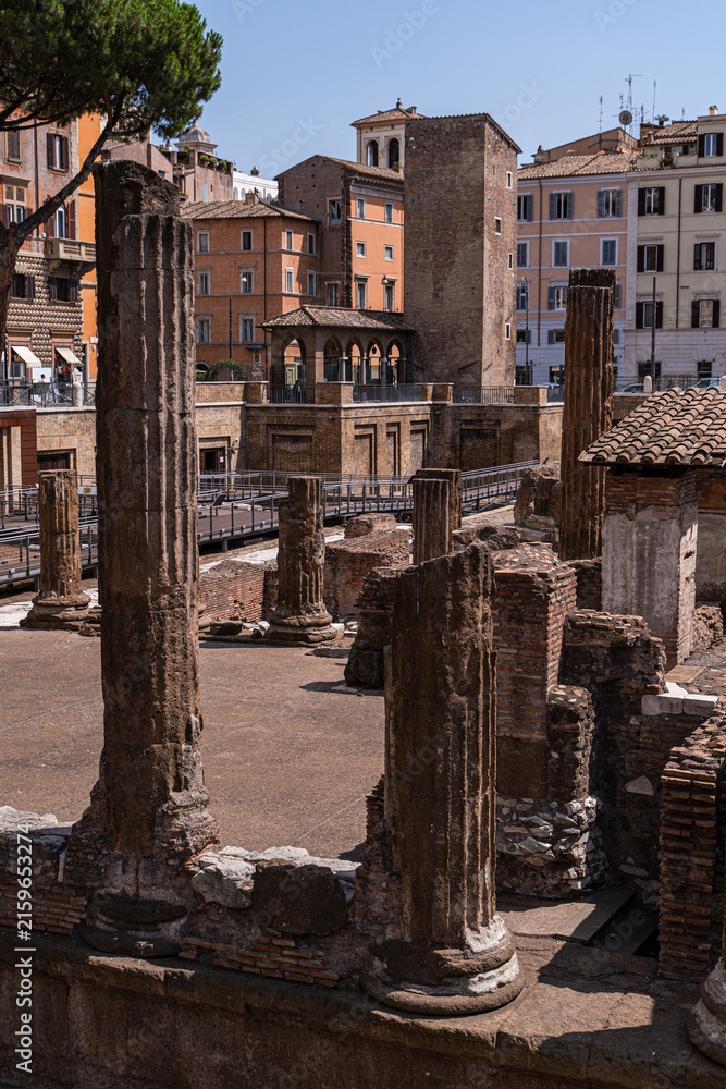 Fototapeta premium Largo di Torre Argentina ruins in the historical part of Rome