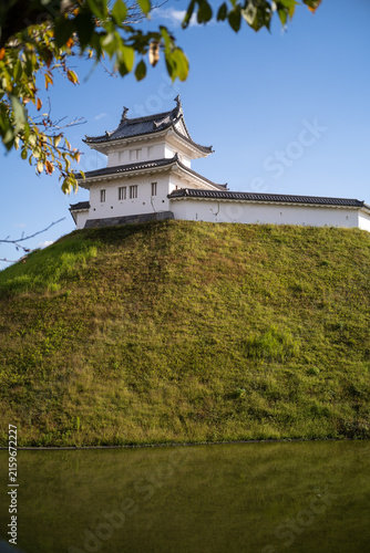 Konstfotografi Vertical view of a Japanese castle turret and walls with tree leaves and pond re