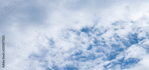 Bild auf Leinwand 青空に広がるうろこ雲と柔らかい白い雲の自然背景