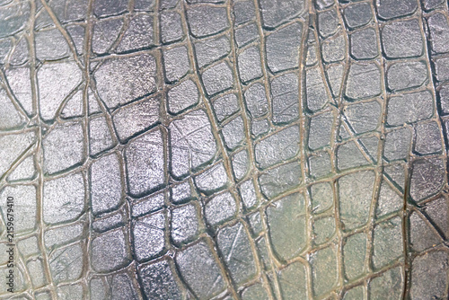 Textured surface pattern of scaled reptile skin with detailed scute grid design.