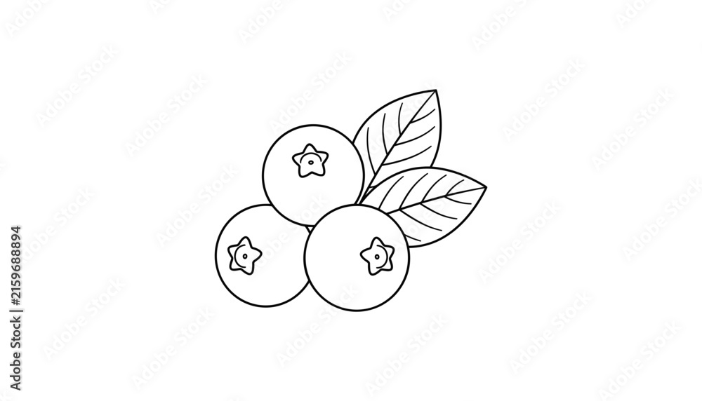 Naklejka premium Fresh blueberry cluster bunch with textured green leaves thin line art outline sketch flat vector illustration isolated