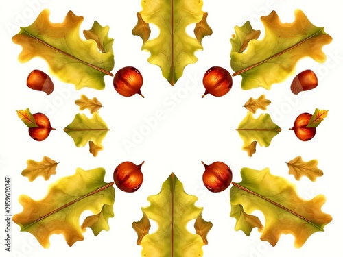 Natural rustic illustration of oak leaves and acorns arranged in a symmetrical pattern, natural, design