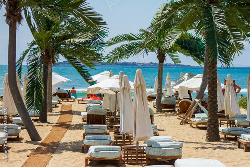 Fotografie Tropical Beach Resort with Palm Trees and Sunbeds, Wide Shot