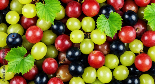 Fresh Grapes as background. Close up, top view, high resolution product. Harvest Concept