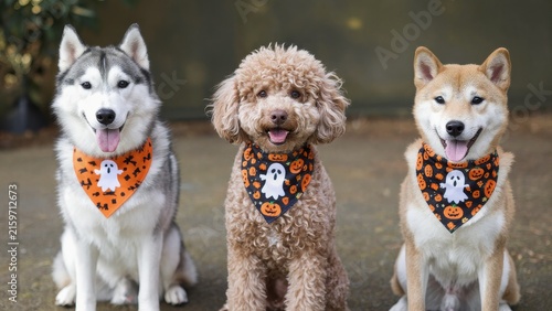 Three Dogs in Halloween Bandanas with Ghosts and Pumpkins Design