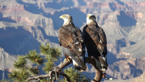 Majestic Eagles Perched on a Branch Overlooking Grand Canyon View