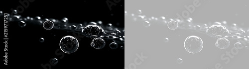 Canvastavla Transparent water droplets on black and transparent backgrounds