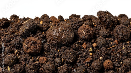 Close-up image of rich, dark soil with organic matter and small clumps, ideal for gardening or farming.